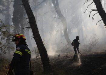 Πολύ υψηλός κίνδυνος πυρκαγιάς σήμερα σε Θεσσαλονίκη, Κιλκίς και νησιά