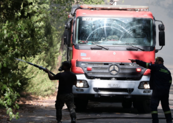Θεσσαλονίκη: Πυρκαγιά στην Περαία – Μήνυμα εστάλη από το 112