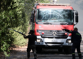 Πυρκαγιά στον Ελαιώνα Θήβας – Ισχυρές δυνάμεις στο σημείο