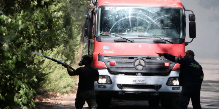 Πυρκαγιά στον Ελαιώνα Θήβας – Ισχυρές δυνάμεις στο σημείο
