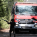 Πυρκαγιά στον Ελαιώνα Θήβας – Ισχυρές δυνάμεις στο σημείο