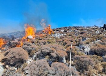 Παραμένει σε επίπεδο «πολύ υψηλού κινδύνου πυρκαγιάς» η Κρήτη