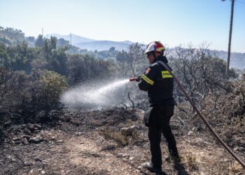 Ευθύνες στην κυβέρνηση από την αντιπολίτευση για λάθη στο σχεδιασμό της πυρόσβεσης - ertnews.gr
