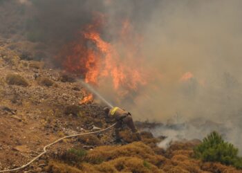 Πυροσβεστική: 26 αγροτοδασικές πυρκαγιές το τελευταίο 24ωρο - ertnews.gr