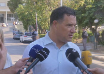 Γεωργιάδης: Από στρώμα ασθενούς ξεκίνησε η πυρκαγιά στο Σισμανόγλειο – Κινδύνευσαν ανθρώπινες ζωές