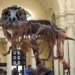 Στο «σφυρί» ο «Γκας»: Σκελετός T-Rex μπορεί να πωληθεί έως και 30 εκατ. δολάρια