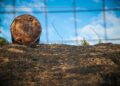 ΕΛ.ΑΣ.: Η πυρκαγιά στο Ωραιόκαστρο ανέδειξε την ανάγκη για σύγχρονη Πολιτική Προστασία με σχεδιασμό βάσει κινδύνου - ertnews.gr