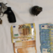Προφυλακίστηκε και ο 35χρονος για τη σχεδιαζόμενη επίθεση με χειροβομβίδα κατά του πρώην εισαγγελέα του Αρείου Πάγου