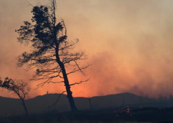 Φωτιές: Πορτοκαλί συναγερμός σήμερα σε Αττική και πέντε περιοχές – Σε πλήρη κινητοποίηση ο κρατικός μηχανισμός
