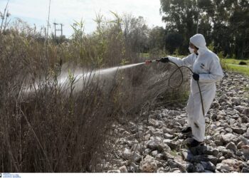 Ιός του Δυτικού Νείλου: 232 κρούσματα, 19 νεκροί - 13χρονος νοσηλεύεται, διασπορά σε 61 δήμους - ertnews.gr