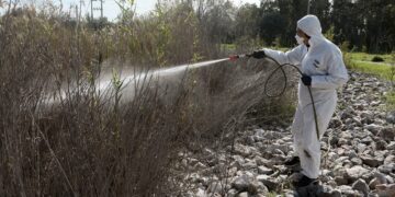 Ιός του Δυτικού Νείλου: 232 κρούσματα, 19 νεκροί - 13χρονος νοσηλεύεται, διασπορά σε 61 δήμους - ertnews.gr