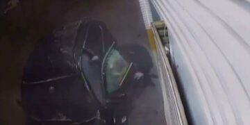 Δολοφονία Ζαμπούνη: Συνελήφθη στα κατεχόμενα ο καταζητούμενος γνωστός και ως «Κινέζος» - ertnews.gr