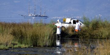 Ιός του Δυτικού Νείλου: Νέα κρούσματα σε 13 δήμους - Αναμένεται αποκλιμάκωση μέσα στις επόμενες εβδομάδες - ertnews.gr
