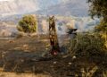 Καραγιάννης στο ΕΡΤnews: «Η φυσική αναγέννηση του δάσους χρειάζεται 15-20 χρόνια – Κρίσιμη η πρόληψη» - ertnews.gr