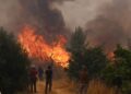 Live: Φωτιά στη Δυτική Αττική - Κρίσιμες ώρες στο Κανδήλι, η πυρκαγιά μπαίνει στην Αγία Σκέπη - ertnews.gr