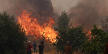Live: Φωτιά στη Δυτική Αττική - Κρίσιμες ώρες στο Κανδήλι, η πυρκαγιά μπαίνει στην Αγία Σκέπη - ertnews.gr