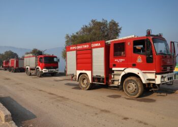 Τσίγκας στο ΕΡΤnews: Συγκρατημένη αισιοδοξία για οριοθέτηση του μετώπου στη Δυτική Αττική - «Κίνδυνος» για αναζωπυρώσεις από το θερμό υπέδαφος - ertnews.gr