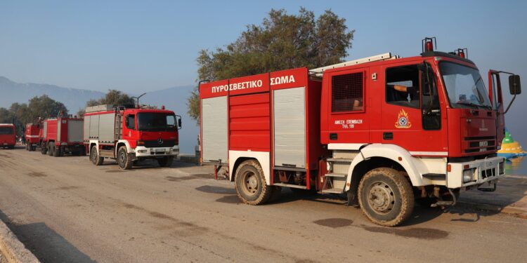 Τσίγκας στο ΕΡΤnews: Συγκρατημένη αισιοδοξία για οριοθέτηση του μετώπου στη Δυτική Αττική - «Κίνδυνος» για αναζωπυρώσεις από το θερμό υπέδαφος - ertnews.gr