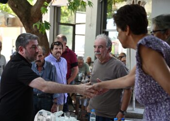 Ανδρουλάκης στις πυρόπληκτες περιοχές της Βοιωτίας: Η κλιματική κρίση δεν μπορεί να χρησιμοποιείται ως άλλοθι