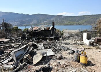 Δυτική Αττική: Η επόμενη ημέρα μετά τη φωτιά – Αντιδιαβρωτικά έργα και αποκατάσταση με «όπλο» το Antinero - ertnews.gr