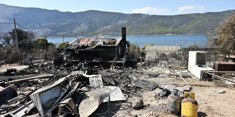 Δυτική Αττική: Η επόμενη ημέρα μετά τη φωτιά – Αντιδιαβρωτικά έργα και αποκατάσταση με «όπλο» το Antinero - ertnews.gr