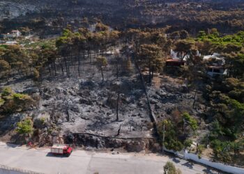 Ισχυρή έκκληση Αρτοποιού στο ΕΡΤnews: «Δεν ανάβουμε φωτιά για κανέναν λόγο» - Αυστηρές κυρώσεις για τους παραβάτες - ertnews.gr
