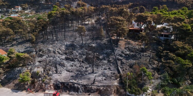Ισχυρή έκκληση Αρτοποιού στο ΕΡΤnews: «Δεν ανάβουμε φωτιά για κανέναν λόγο» - Αυστηρές κυρώσεις για τους παραβάτες - ertnews.gr