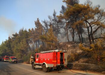 Πυροσβεστική: 53 πυρκαγιές το τελευταίο 24ωρο - Τέσσερις συλλήψεις - ertnews.gr