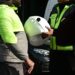 «Μηδενική ανοχή στη μη χρήση κράνους» - Πάνω από 2.950 παραβάσεις βεβαιώθηκαν την 61η εβδομάδα της εκστρατείας - ertnews.gr