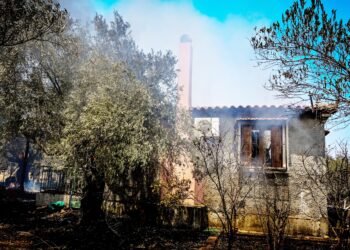 [388759] ΠΥΡΚΑΓΙΑ ΣΤΟ ΦΙΧΤΙ ΑΡΓΟΛΙΔΑΣ   (ΒΑΣΙΛΗΣ ΠΑΠΑΔΟΠΟΥΛΟΣ / EUROKINISSI)