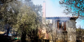 [388759] ΠΥΡΚΑΓΙΑ ΣΤΟ ΦΙΧΤΙ ΑΡΓΟΛΙΔΑΣ   (ΒΑΣΙΛΗΣ ΠΑΠΑΔΟΠΟΥΛΟΣ / EUROKINISSI)