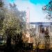 [388759] ΠΥΡΚΑΓΙΑ ΣΤΟ ΦΙΧΤΙ ΑΡΓΟΛΙΔΑΣ   (ΒΑΣΙΛΗΣ ΠΑΠΑΔΟΠΟΥΛΟΣ / EUROKINISSI)