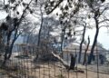 Κατσαφάδος: Ολοκληρώνονται οι αυτοψίες στο Πόρτο Γερμενό – Κανένας πολίτης δεν θα μείνει χωρίς βοήθεια