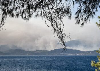 Φωκίδα: Βελτιωμένη η εικόνα της πυρκαγιάς - Ολονύκτια μάχη με αναζωπυρώσεις - Κάηκαν τουλάχιστον δύο σπίτια - ertnews.gr