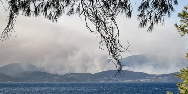 Φωκίδα: Βελτιωμένη η εικόνα της πυρκαγιάς - Ολονύκτια μάχη με αναζωπυρώσεις - Κάηκαν τουλάχιστον δύο σπίτια - ertnews.gr