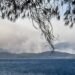 Φωκίδα: Βελτιωμένη η εικόνα της πυρκαγιάς - Ολονύκτια μάχη με αναζωπυρώσεις - Κάηκαν τουλάχιστον δύο σπίτια - ertnews.gr