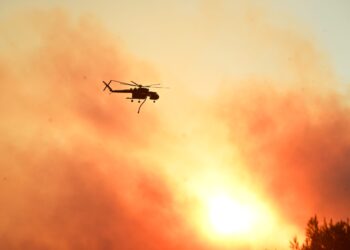 Από αγροτικές εργασίες με καταστροφέα η πυρκαγιά στην Αργολίδα - Συνολικά 11 συλλήψεις για τις φωτιές - ertnews.gr
