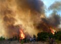 Χάρτης Πρόβλεψης Κινδύνου Πυρκαγιάς: Πολύ υψηλός κίνδυνος την Τρίτη σε Αττική, Εύβοια και Χίο - ertnews.gr