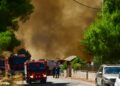 Ο καθηγητής Ν. Τζανάκης εξηγεί στο ΕΡΤnews πώς μπορούμε να προστατευτούμε από τον καπνό των πυρκαγιών - Τι πρέπει να προσέξουμε - ertnews.gr