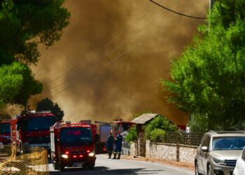 Ο καθηγητής Ν. Τζανάκης εξηγεί στο ΕΡΤnews πώς μπορούμε να προστατευτούμε από τον καπνό των πυρκαγιών - Τι πρέπει να προσέξουμε - ertnews.gr