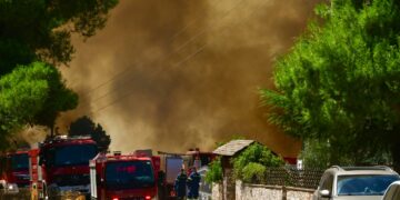 Ο καθηγητής Ν. Τζανάκης εξηγεί στο ΕΡΤnews πώς μπορούμε να προστατευτούμε από τον καπνό των πυρκαγιών - Τι πρέπει να προσέξουμε - ertnews.gr