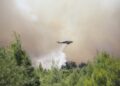 Υψηλός κίνδυνος πυρκαγιάς στην Κρήτη τη Δευτέρα - ertnews.gr