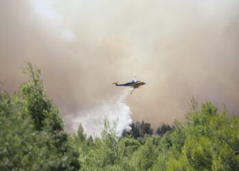 Υψηλός κίνδυνος πυρκαγιάς στην Κρήτη τη Δευτέρα - ertnews.gr
