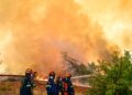 Πυρκαγιές: 33 συλλήψεις σε 5 ημέρες και διοικητικά πρόστιμα άνω των 70.000 ευρώ - ertnews.gr