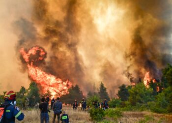 Σε πλήρη κινητοποίηση ο κρατικός μηχανισμός για τη στήριξη των πληγέντων από τις πυρκαγιές - Αυτοψίες σε έξι δήμους - ertnews.gr