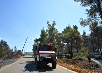 Χαλκιδική: Άμεση η κατάσβεση της πυρκαγιάς στην περιοχή του Πόρτο Καρράς - ertnews.gr