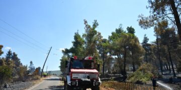 Χαλκιδική: Άμεση η κατάσβεση της πυρκαγιάς στην περιοχή του Πόρτο Καρράς - ertnews.gr