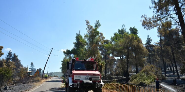 Χαλκιδική: Άμεση η κατάσβεση της πυρκαγιάς στην περιοχή του Πόρτο Καρράς - ertnews.gr