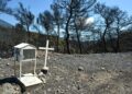 Παράσταση πολιτικής αγωγής από την Περιφέρεια Αττικής για την πυρκαγιά στη Βοιωτία - «Μηδενική ανοχή» στους υπεύθυνους
