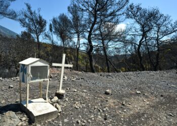 Παράσταση πολιτικής αγωγής από την Περιφέρεια Αττικής για την πυρκαγιά στη Βοιωτία - «Μηδενική ανοχή» στους υπεύθυνους